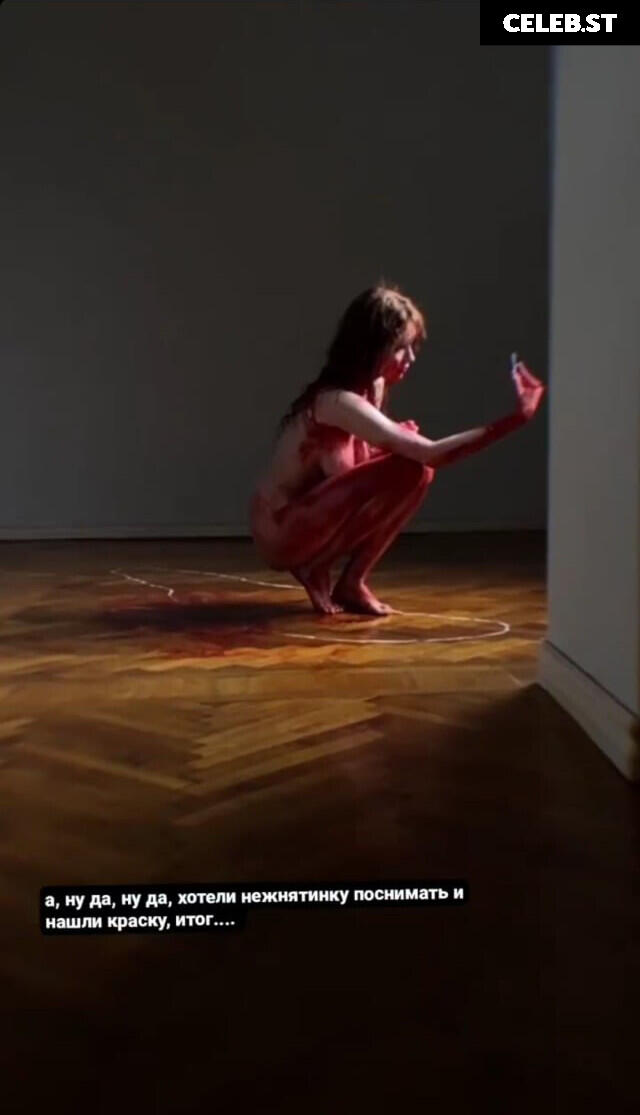 kari Pitinova / tikivulpes / Vulpes Image 20157602