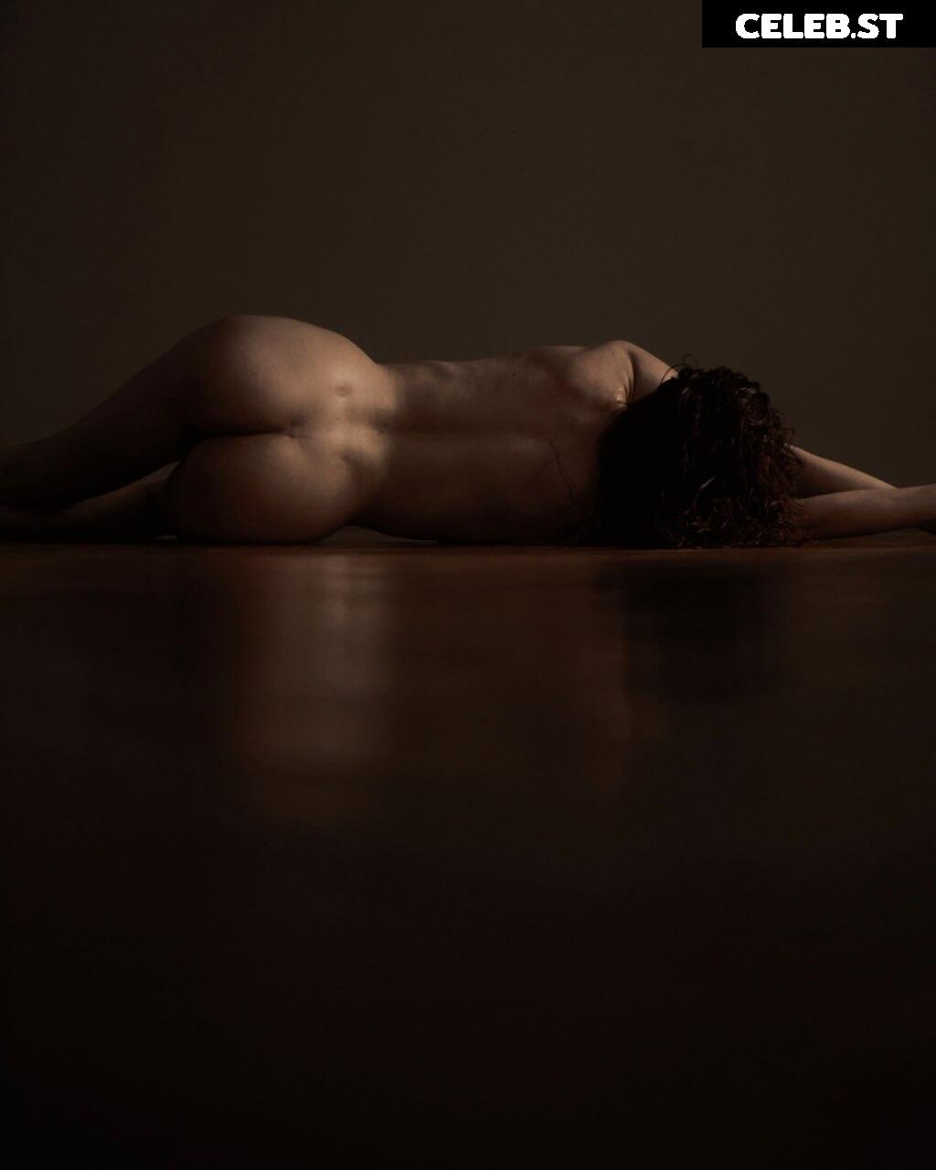 kari Pitinova / tikivulpes / Vulpes Image 20157600