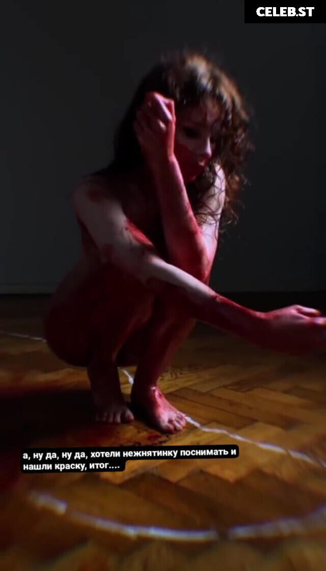 kari Pitinova / tikivulpes / Vulpes Image 20157605