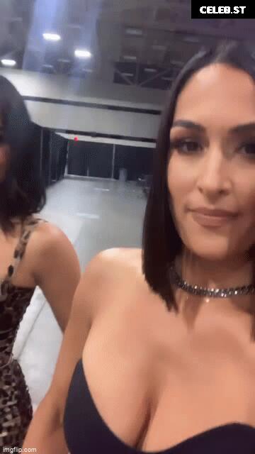 The Bella Twins: Nikki Bella &amp; Brie Bella | Garcia Twins Image 20151081