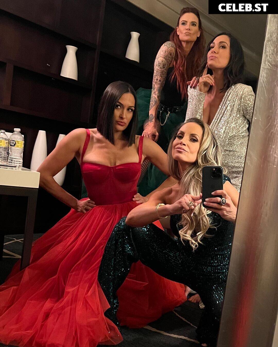 The Bella Twins: Nikki Bella &amp; Brie Bella | Garcia Twins Image 20151065