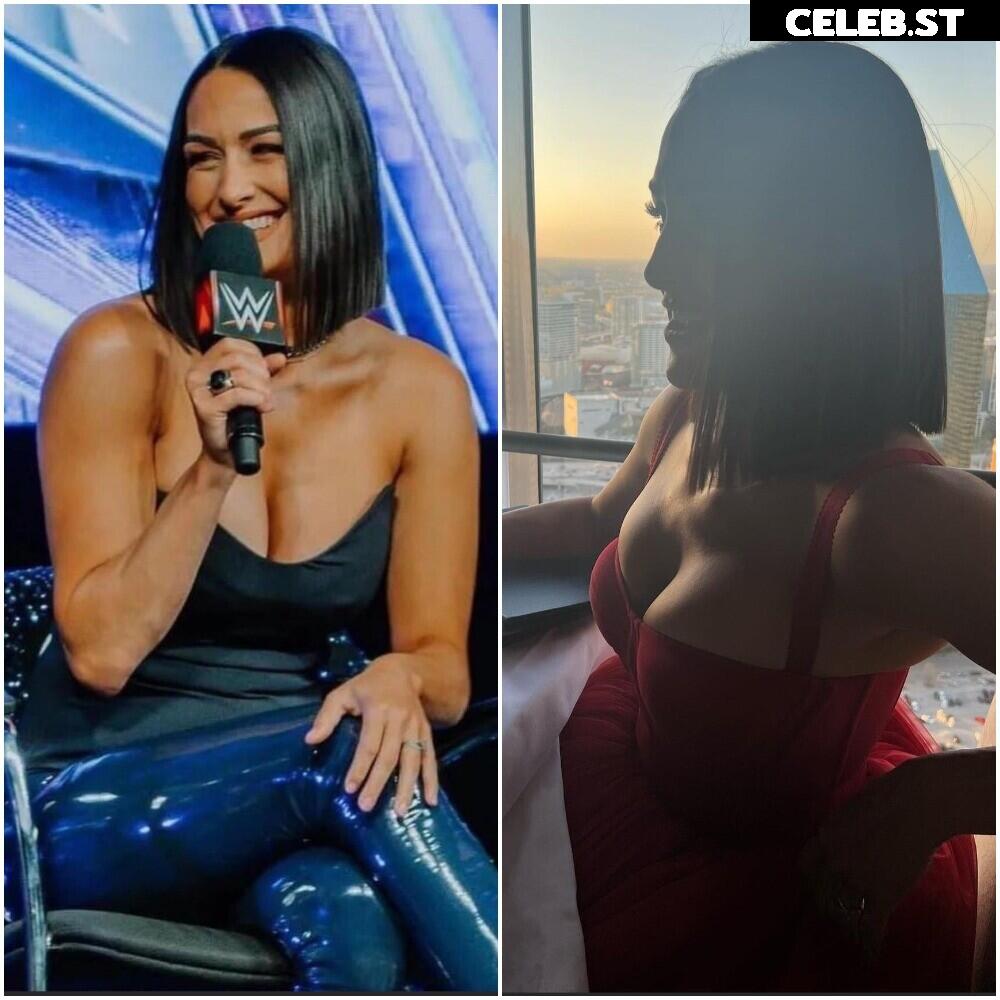 The Bella Twins: Nikki Bella &amp; Brie Bella | Garcia Twins Image 20151064
