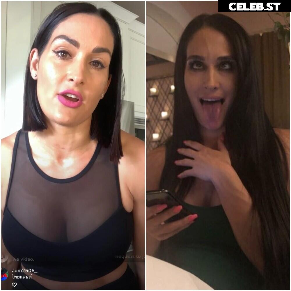 The Bella Twins: Nikki Bella &amp; Brie Bella | Garcia Twins Image 20151073