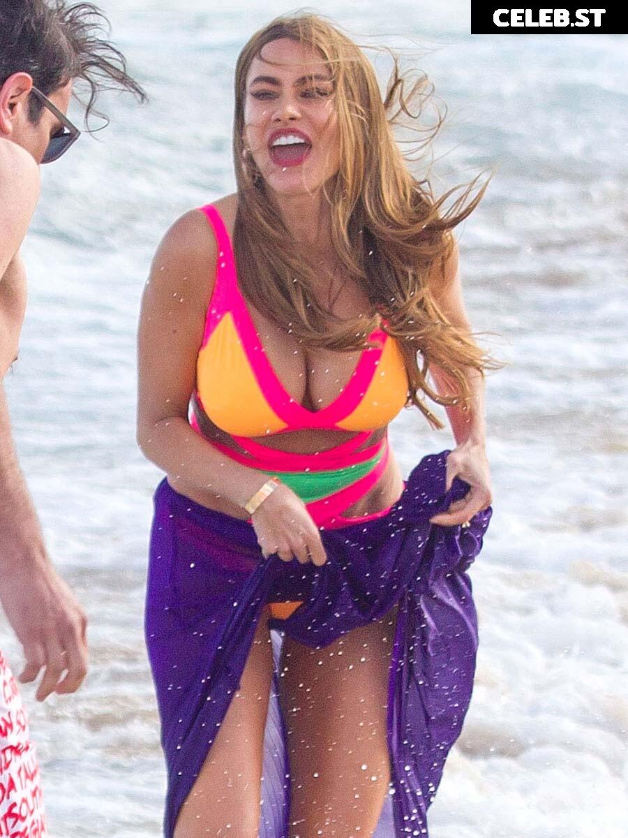 Sofia Vergara Image 2015377