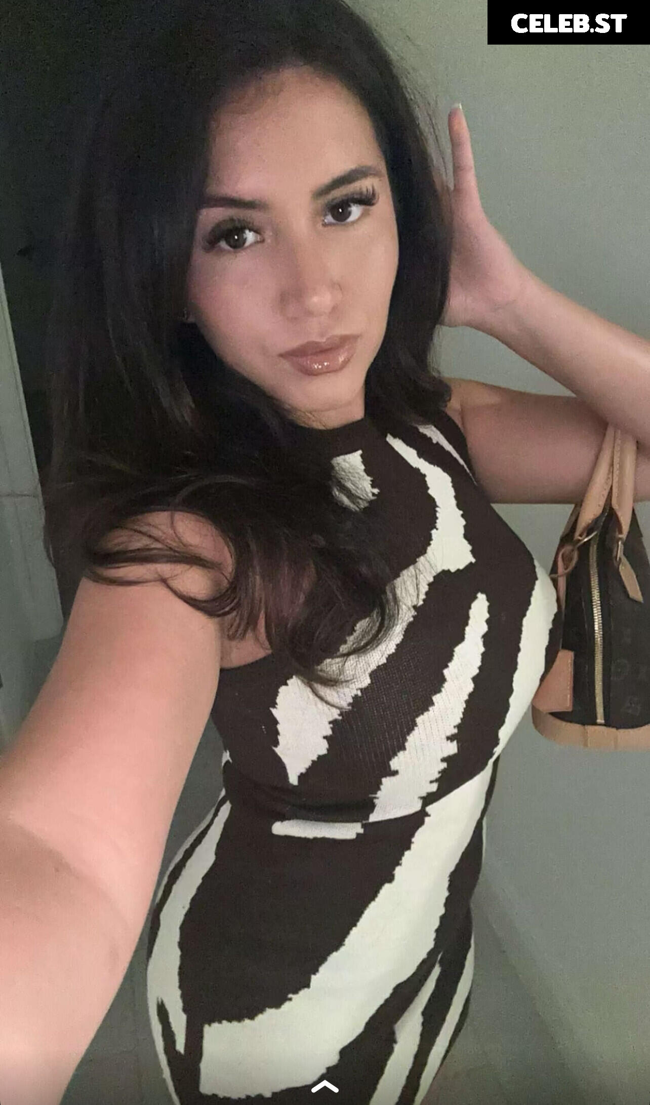 Janexy Sanchez (Social Media Post) Image 20162228