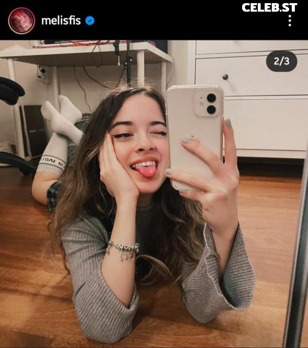 Melis Fis Image 20174936
