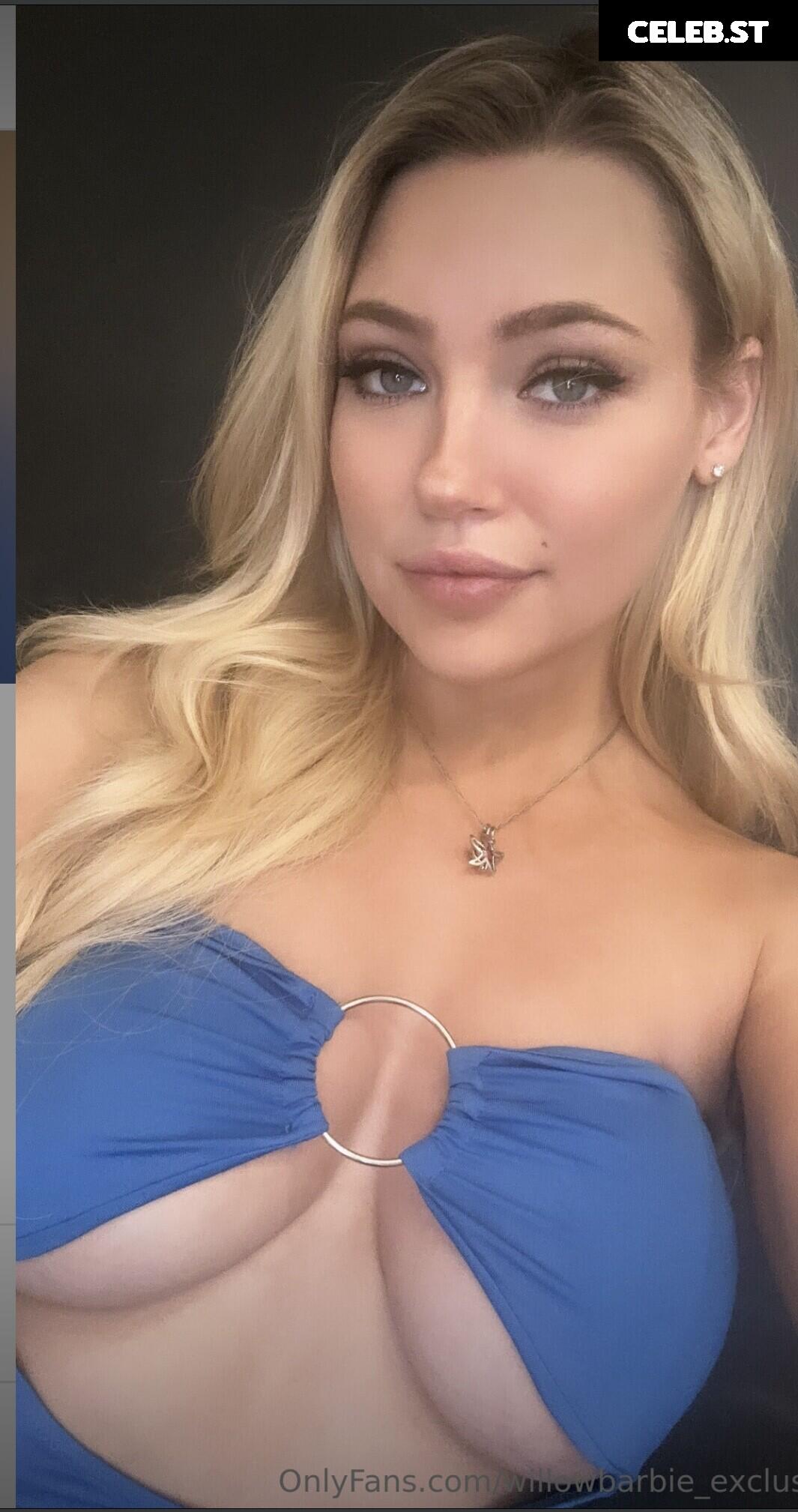 Willow Barbie Image 20176092