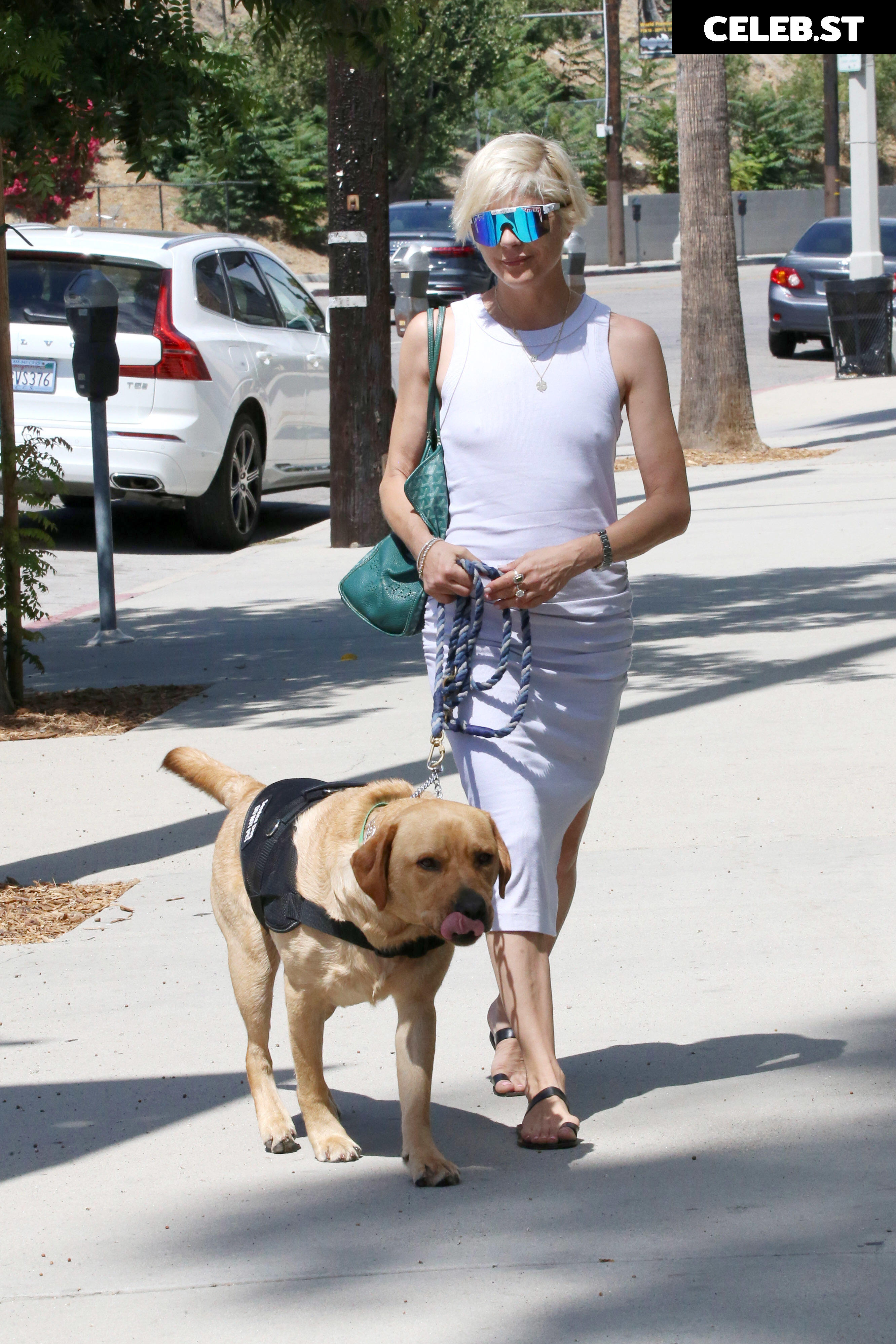 Selma Blair Image 2011678