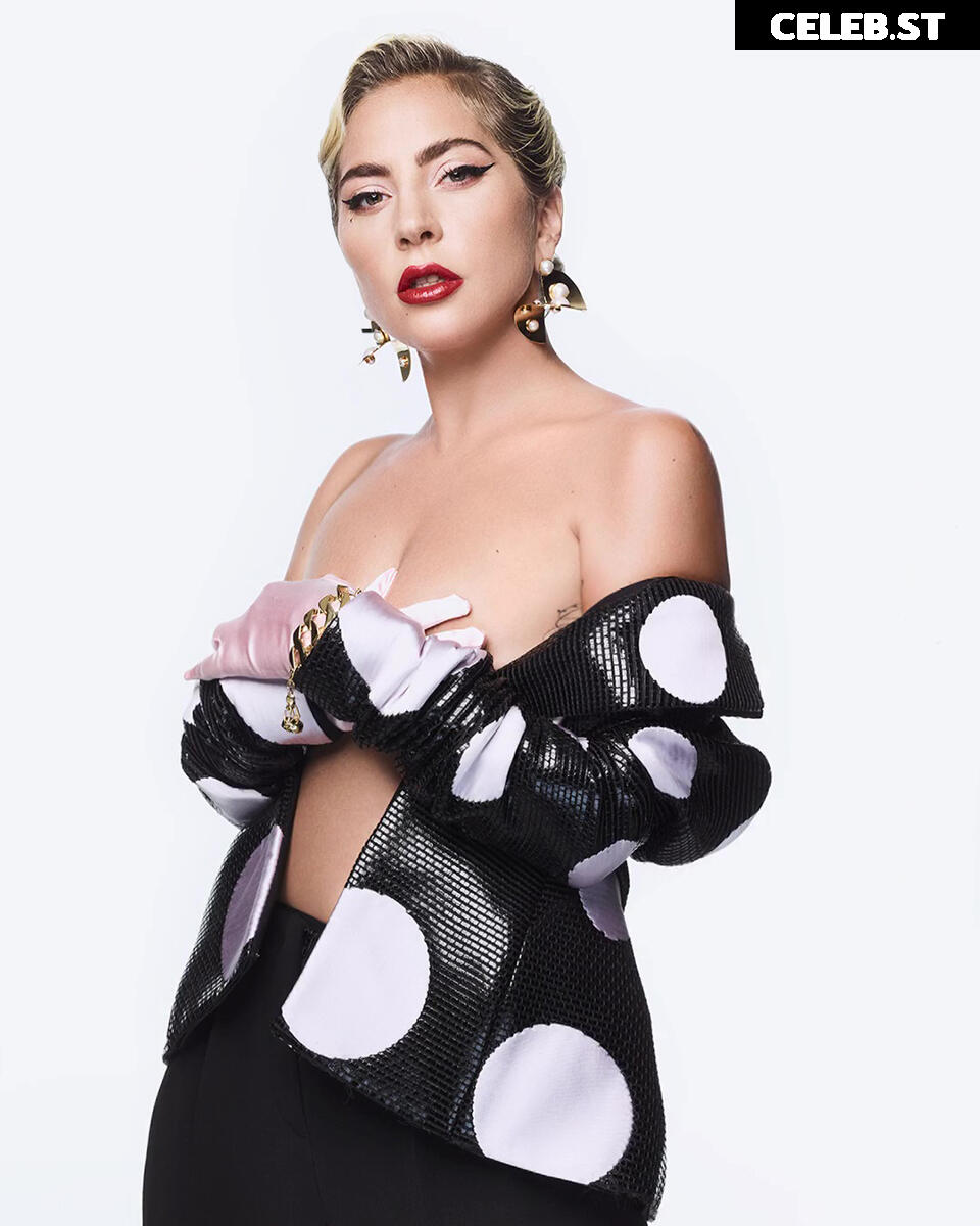 Lady Gaga Image 2011163