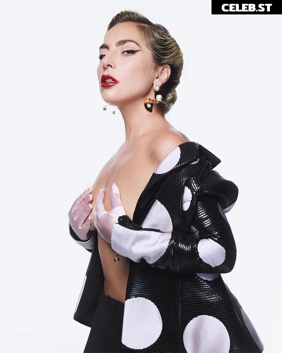 Lady Gaga Image 2011011