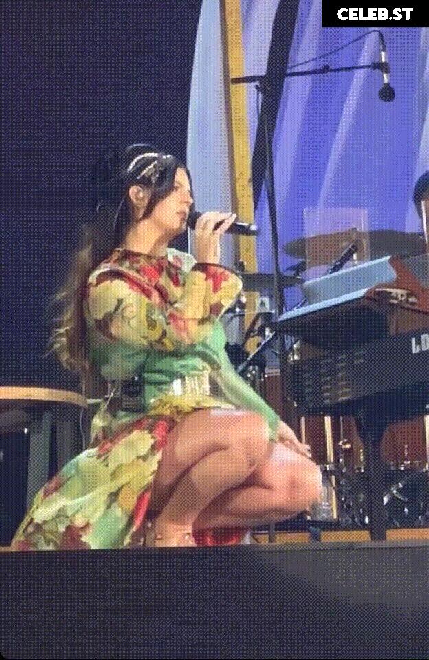 Lana Del Rey Image 2011359
