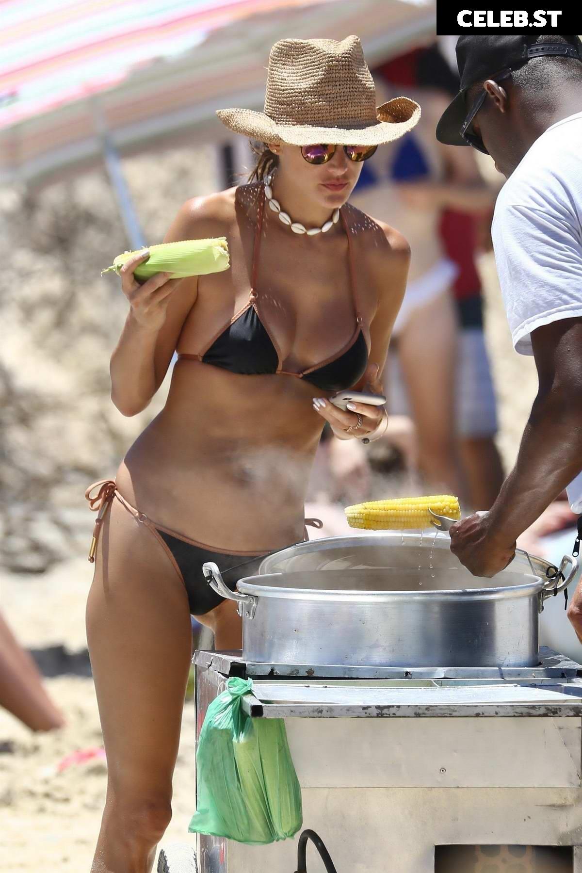 Alessandra Ambrosio Image 2010725