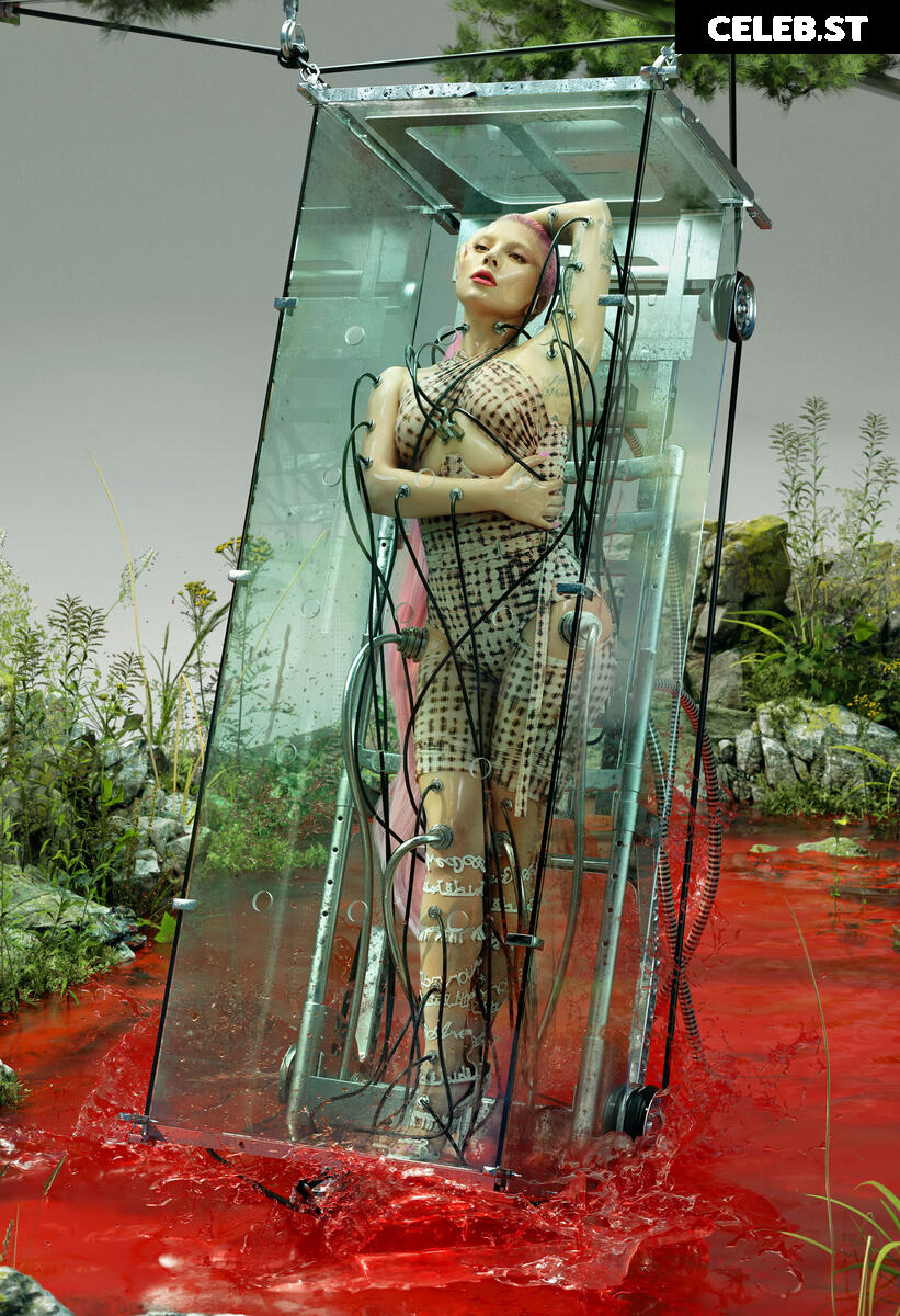 Lady Gaga Image 2010341
