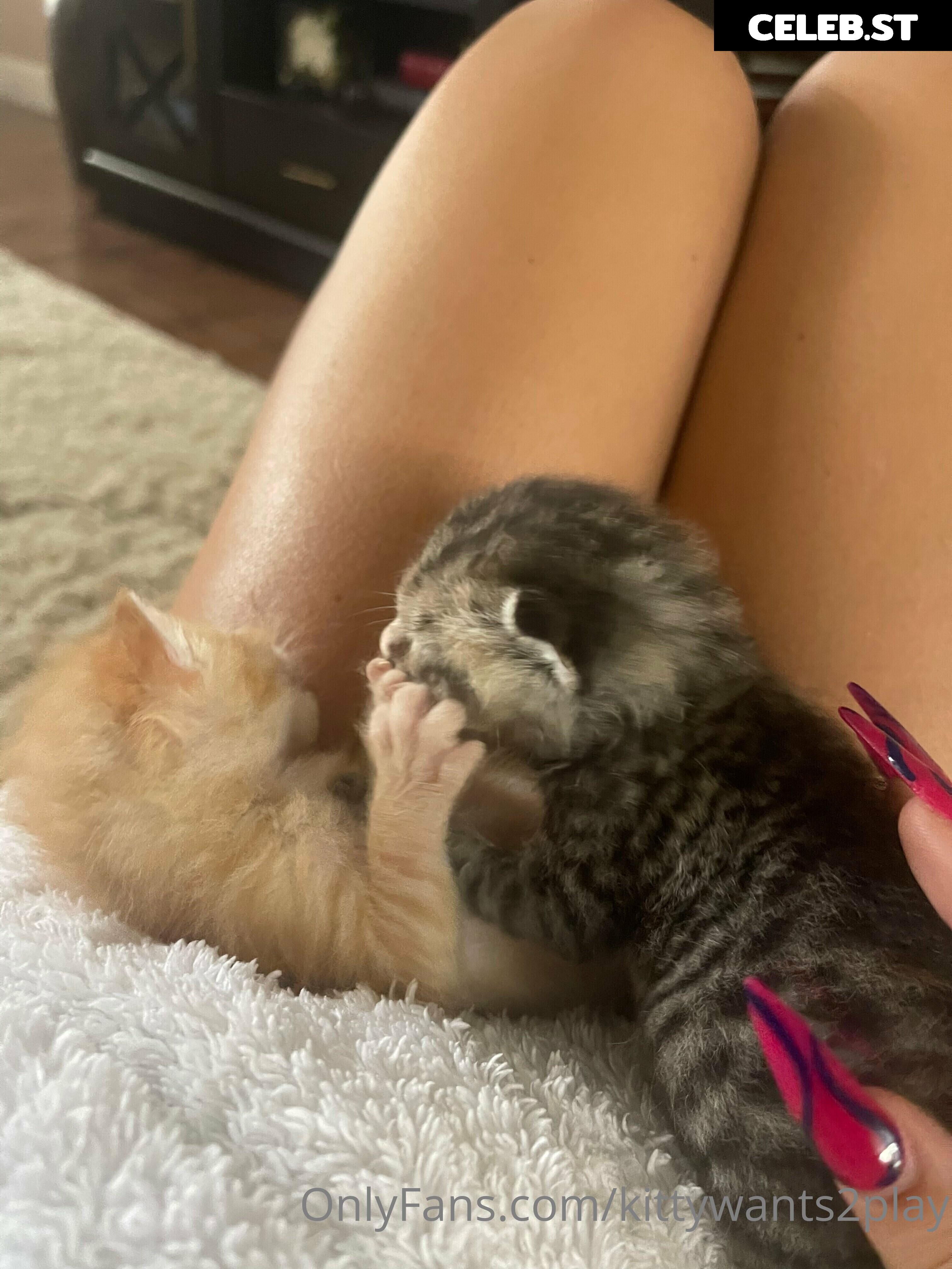Disko.kitty / kittywants2play / diskomfkitty Image 20183894