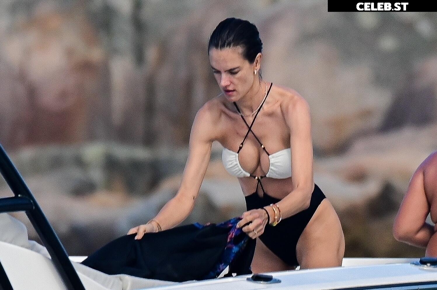 Alessandra Ambrosio Image 2007596