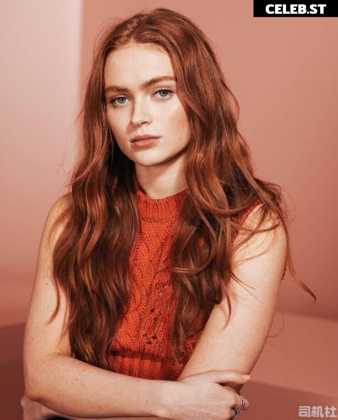 Sadie Sink Image 2003858