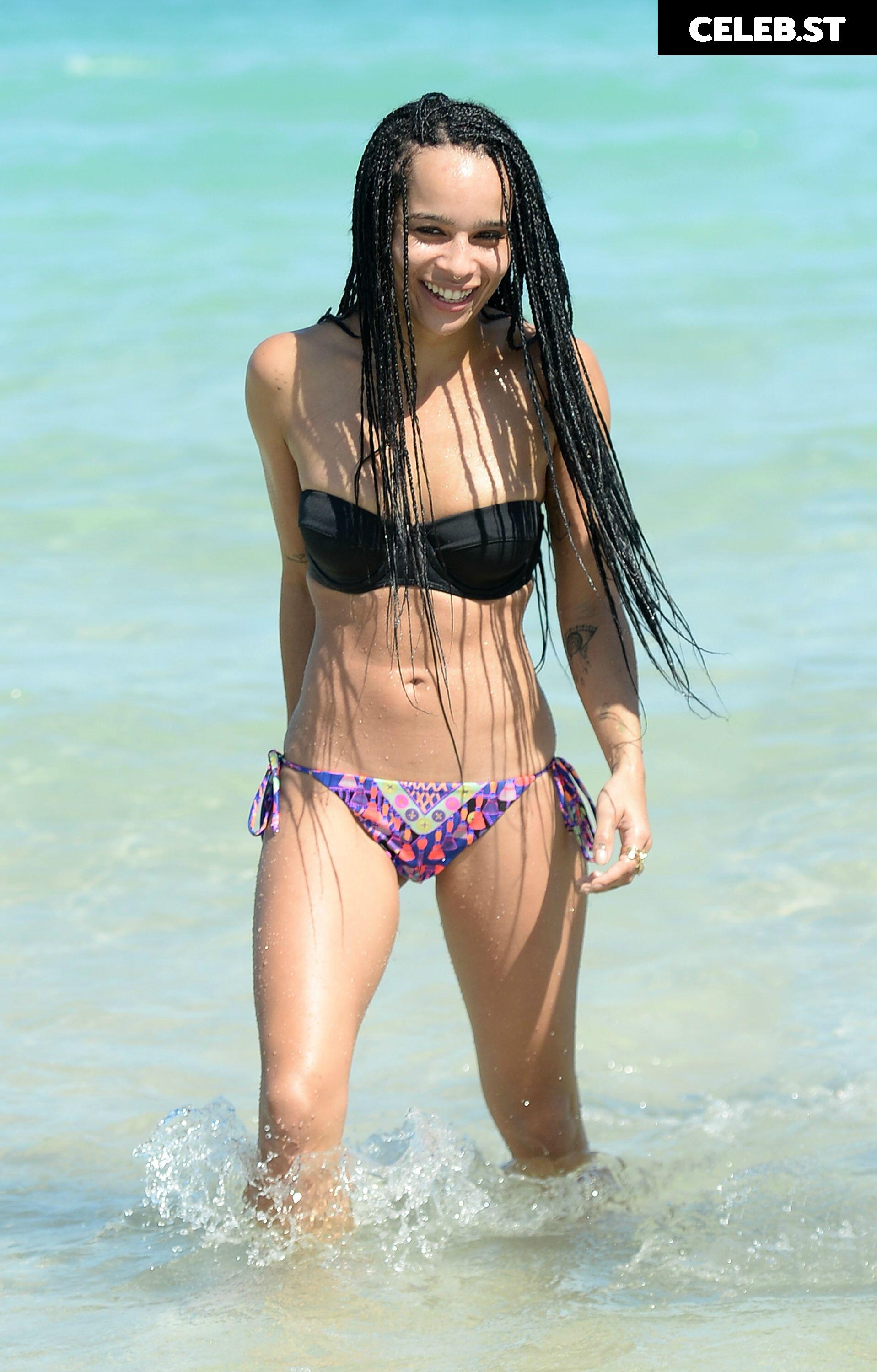 Zoë Kravitz Image 2003386