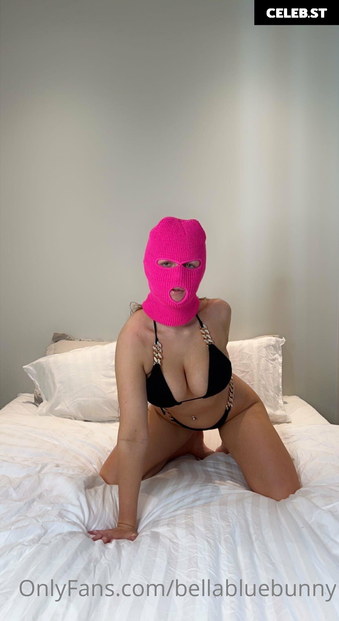 Bellabluebunny (Norwegian) Image 11955510