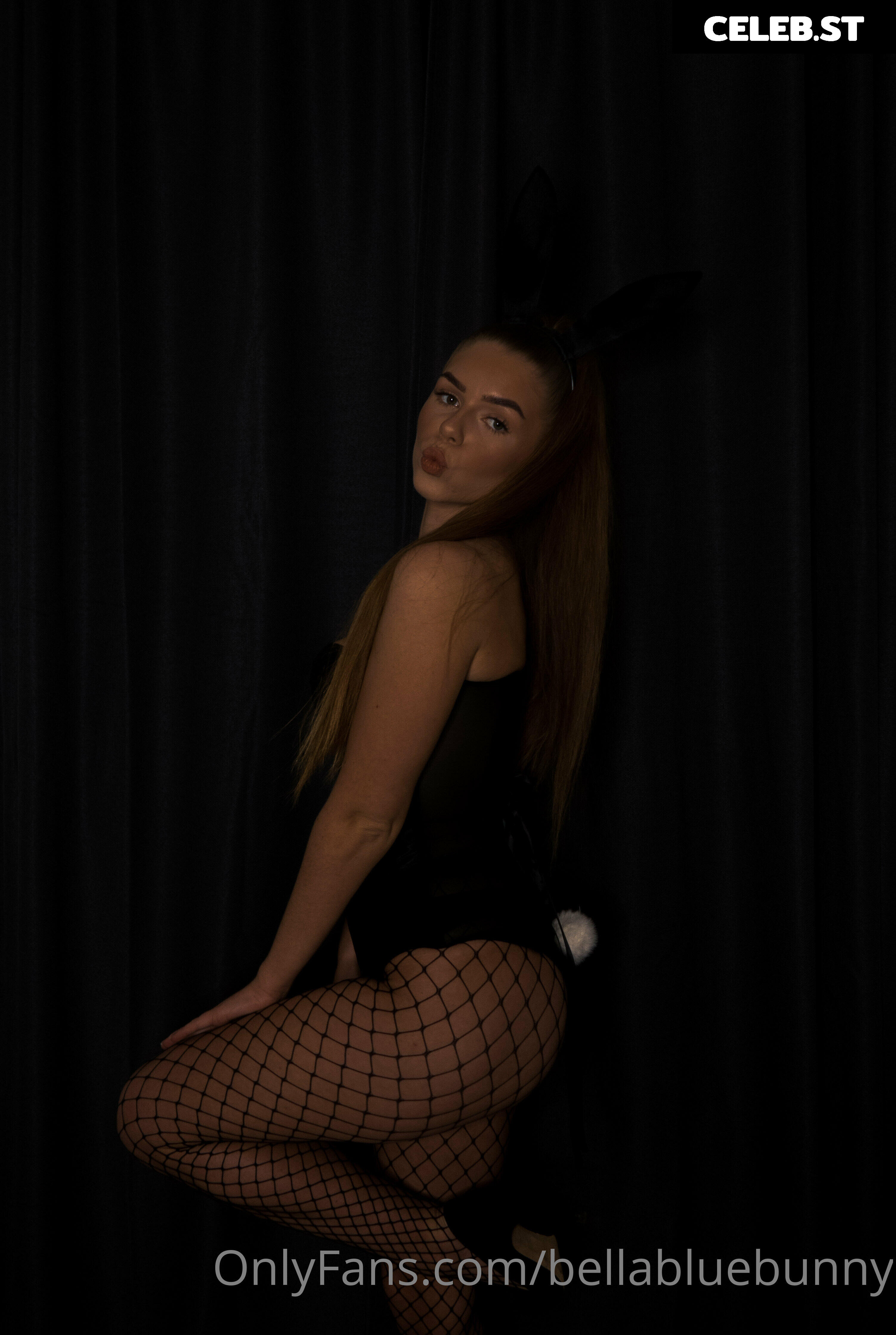 Bellabluebunny (Norwegian) Image 11955394
