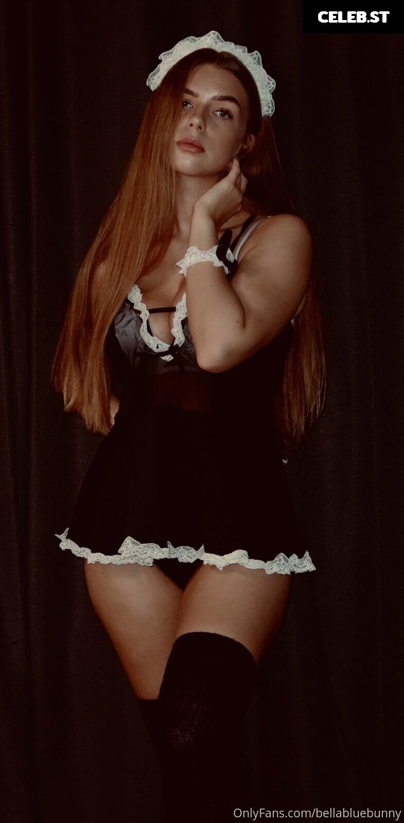 Bellabluebunny (Norwegian) Image 11955290