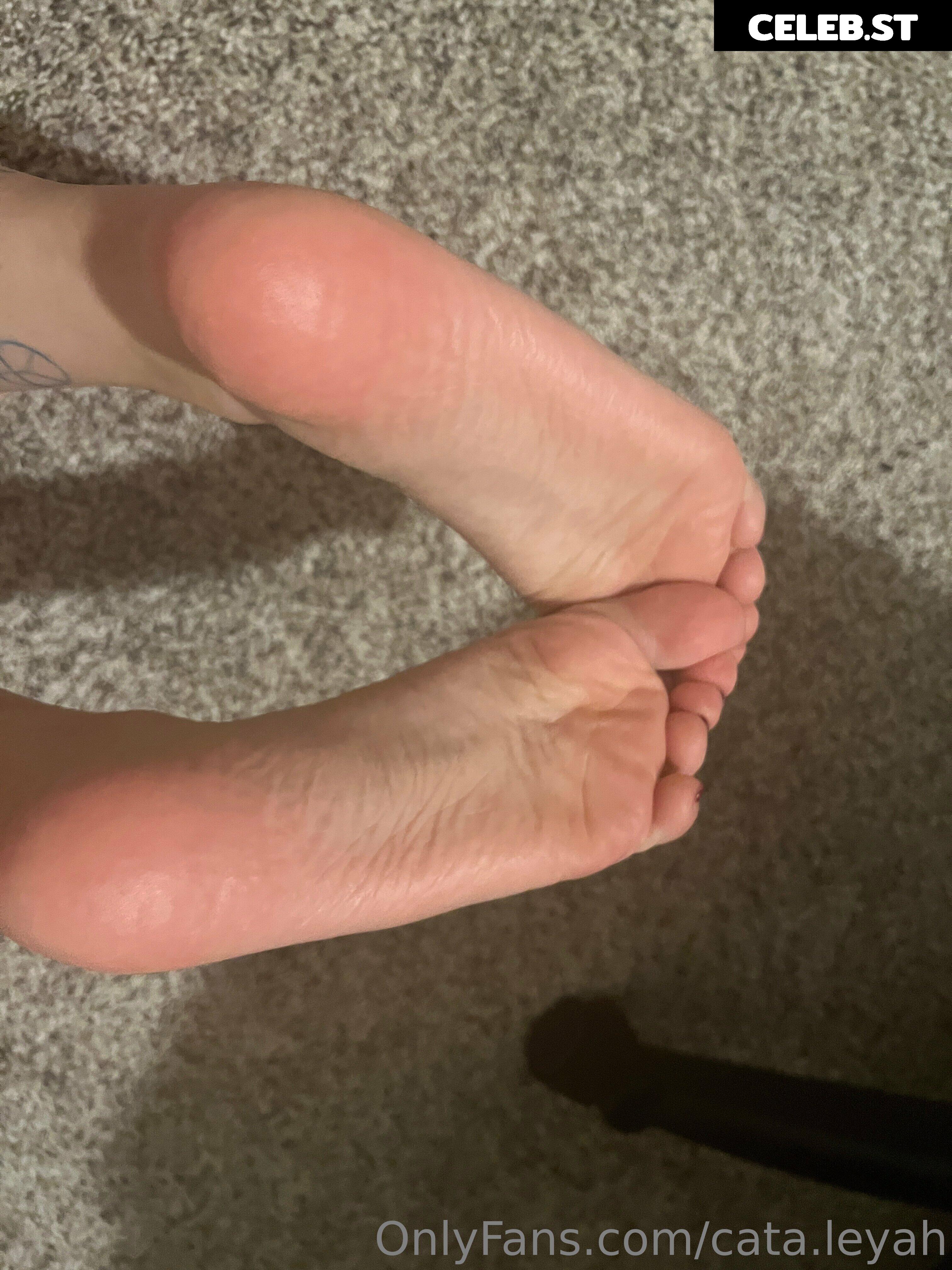 Cata.leyah Image 11954686