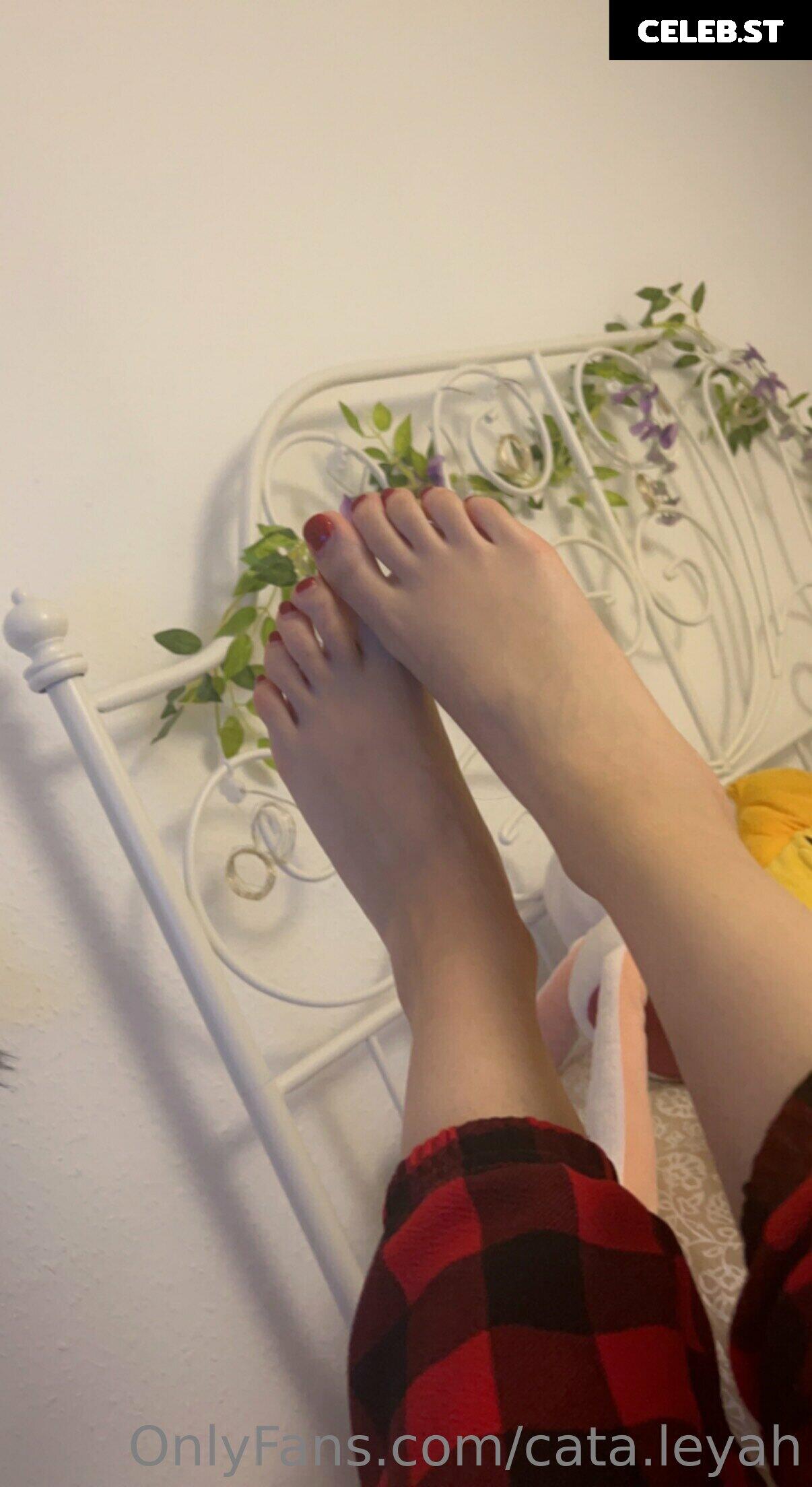 Cata.leyah Image 11954638