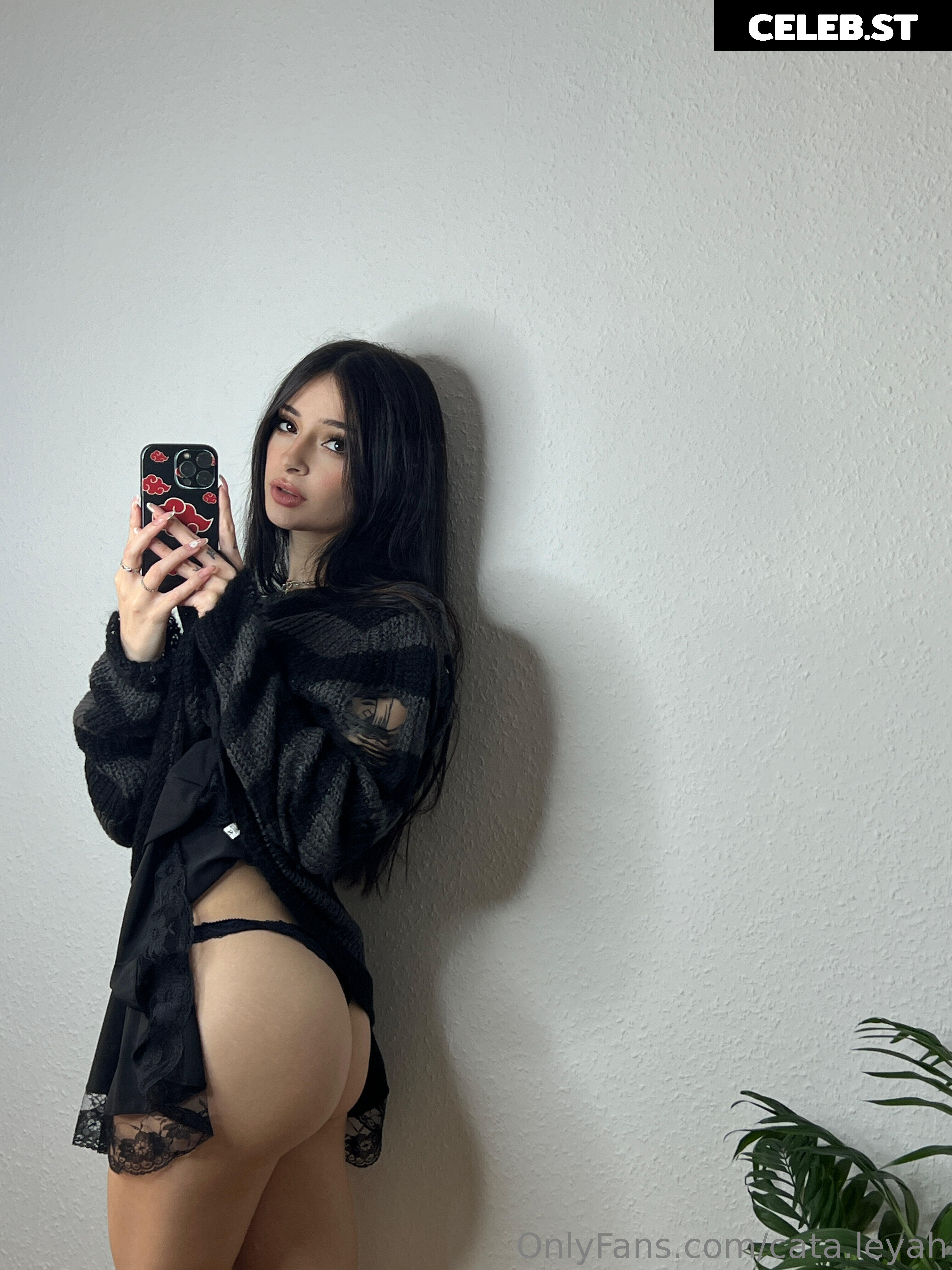 Cata.leyah Image 11954668