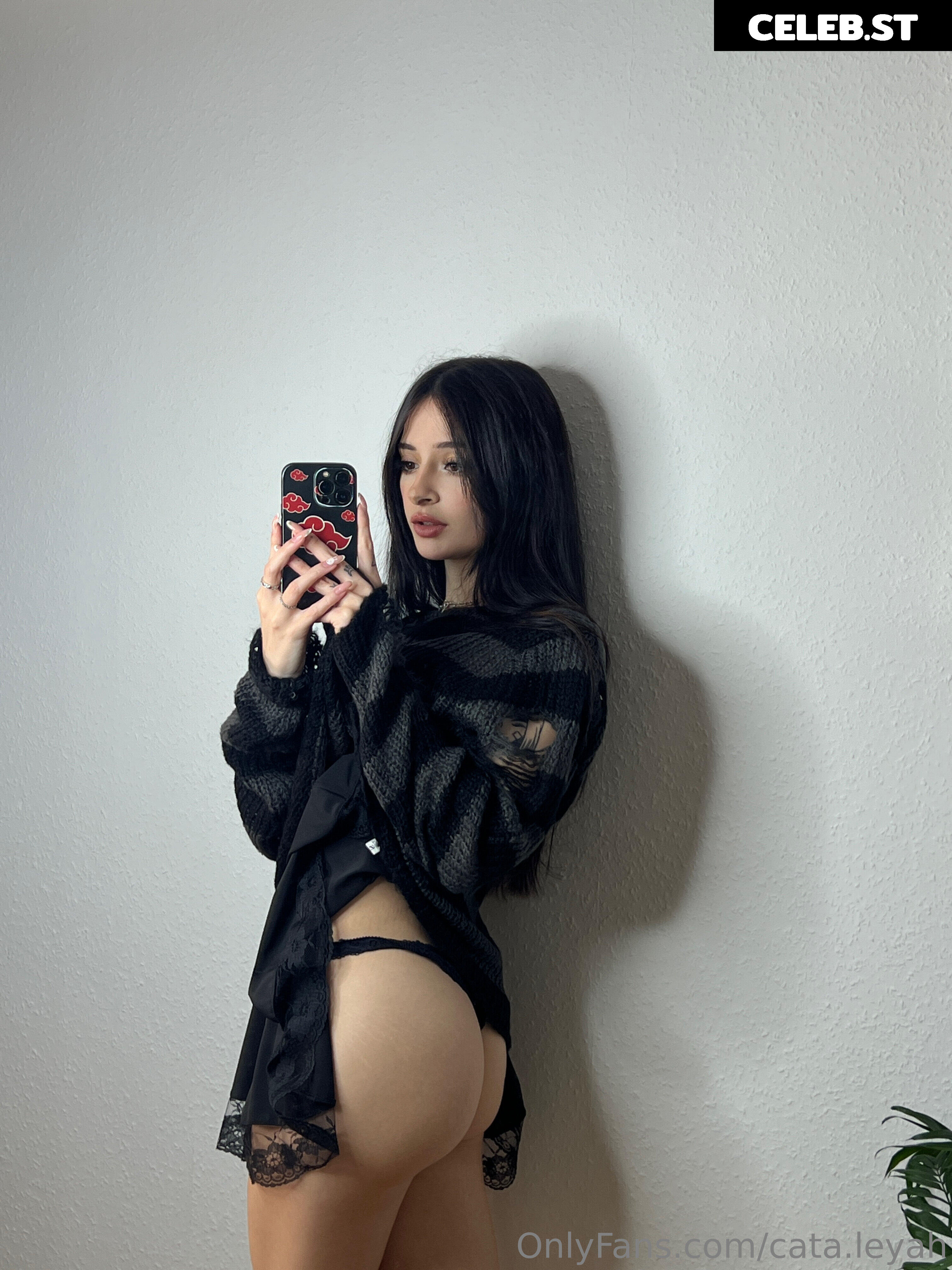 Cata.leyah Image 11954641