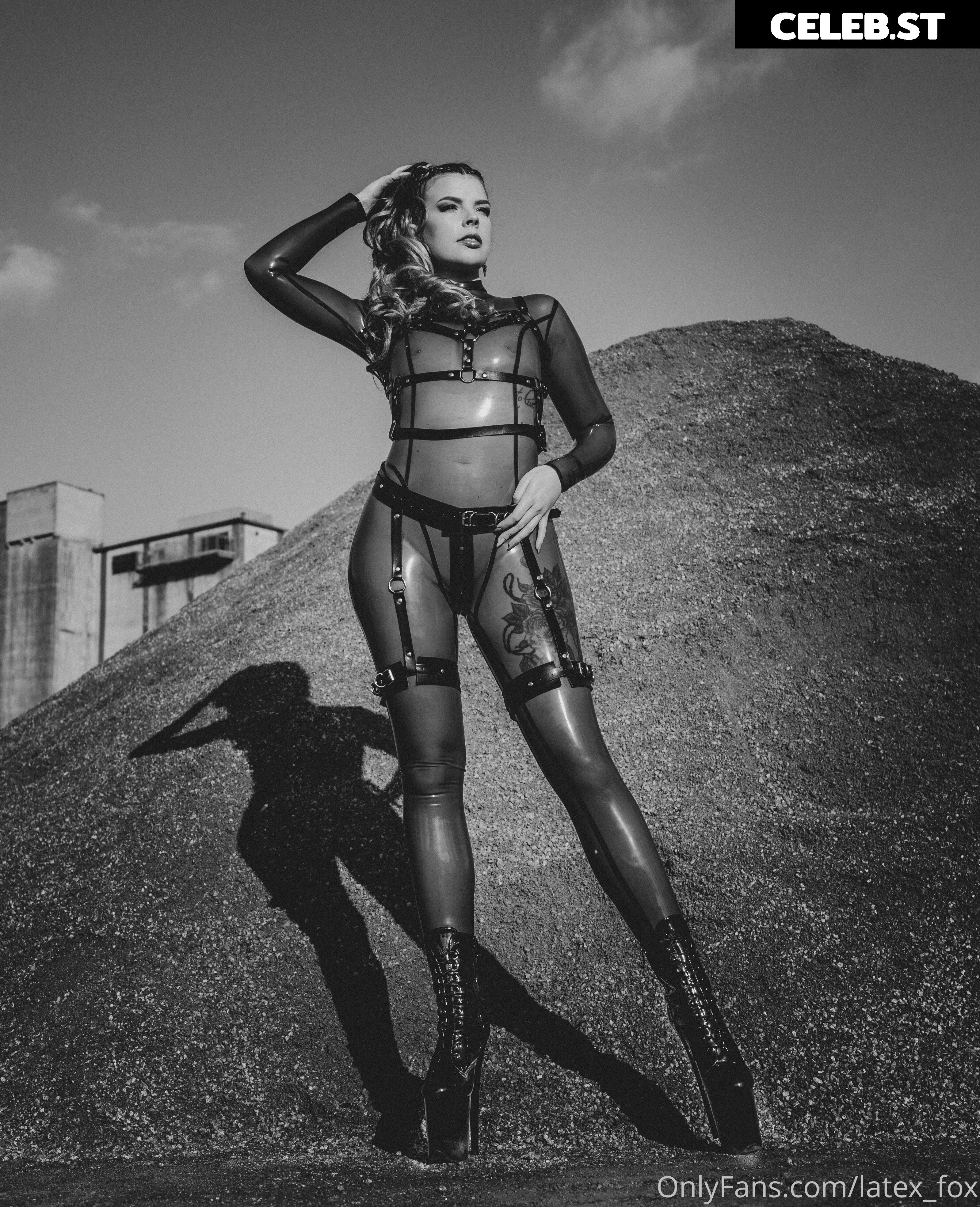 Latex Fox  /  Latex_Fox  /  LatexFox Image 11957448