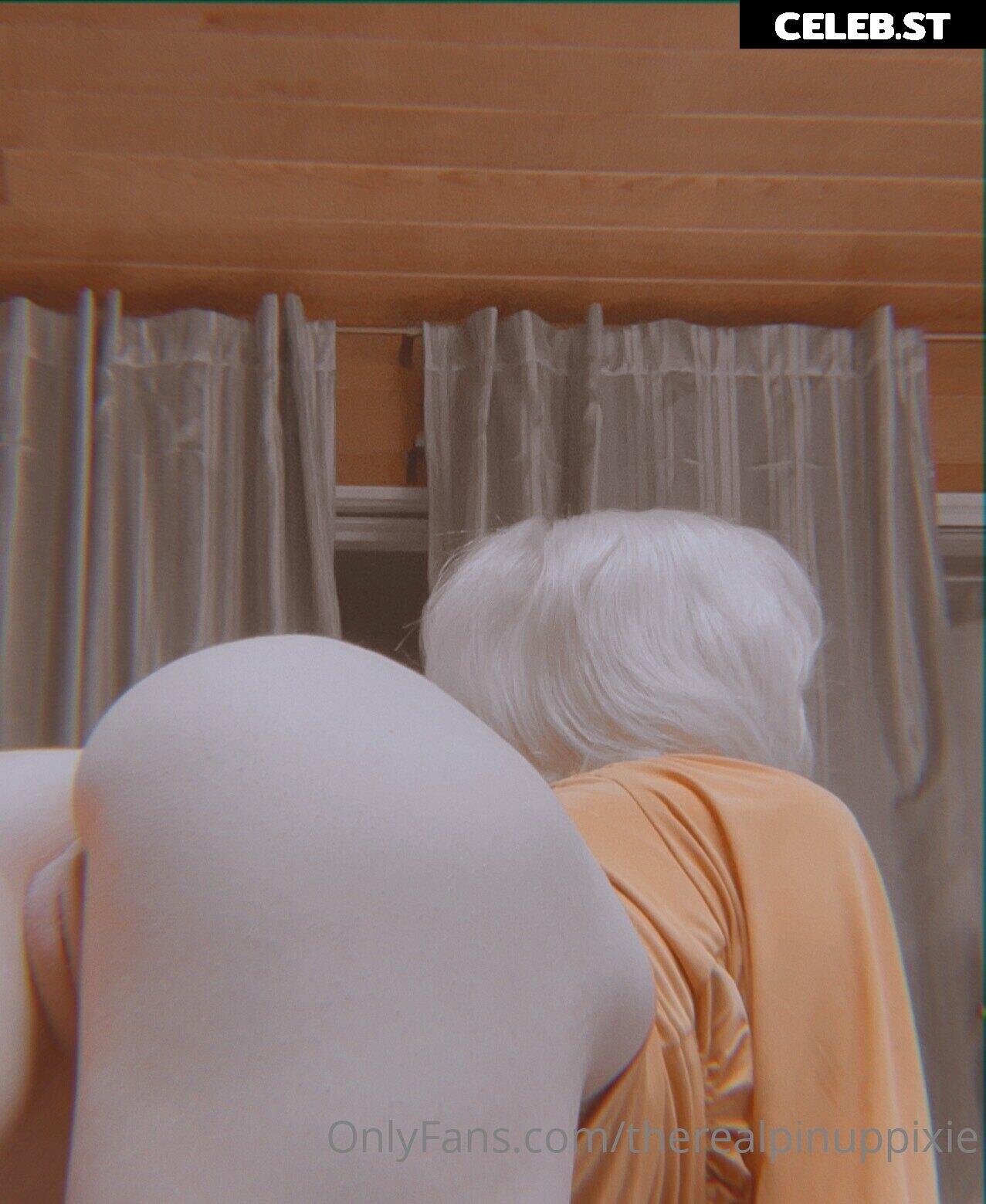 PinupPixie / Cyberpunk Pixie Image 11957207