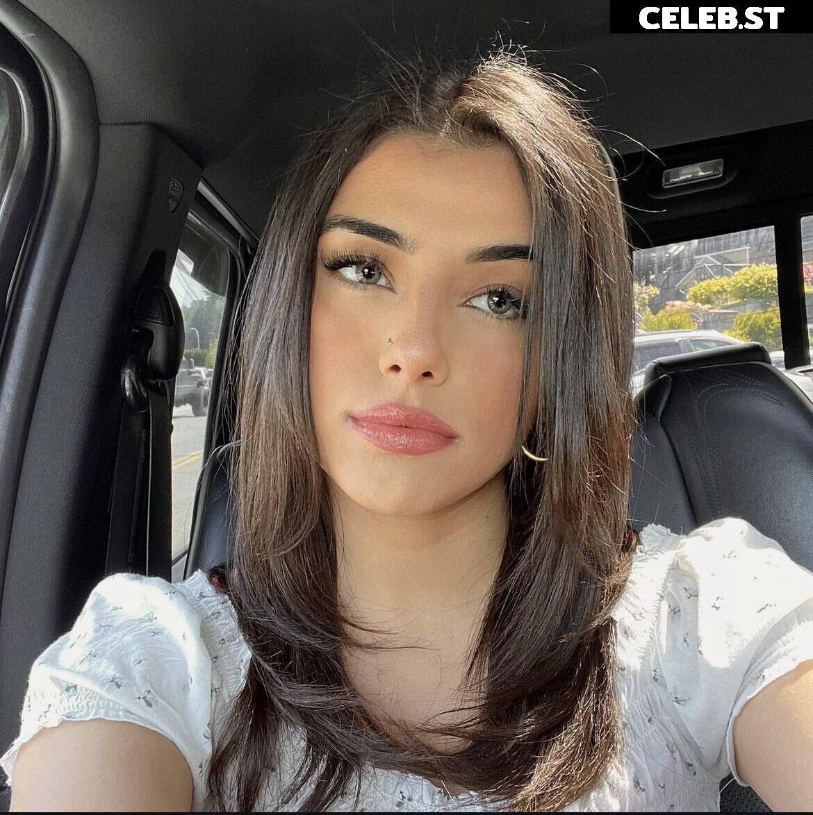 gal akbari / gal.cal / q.gal Image 11964600