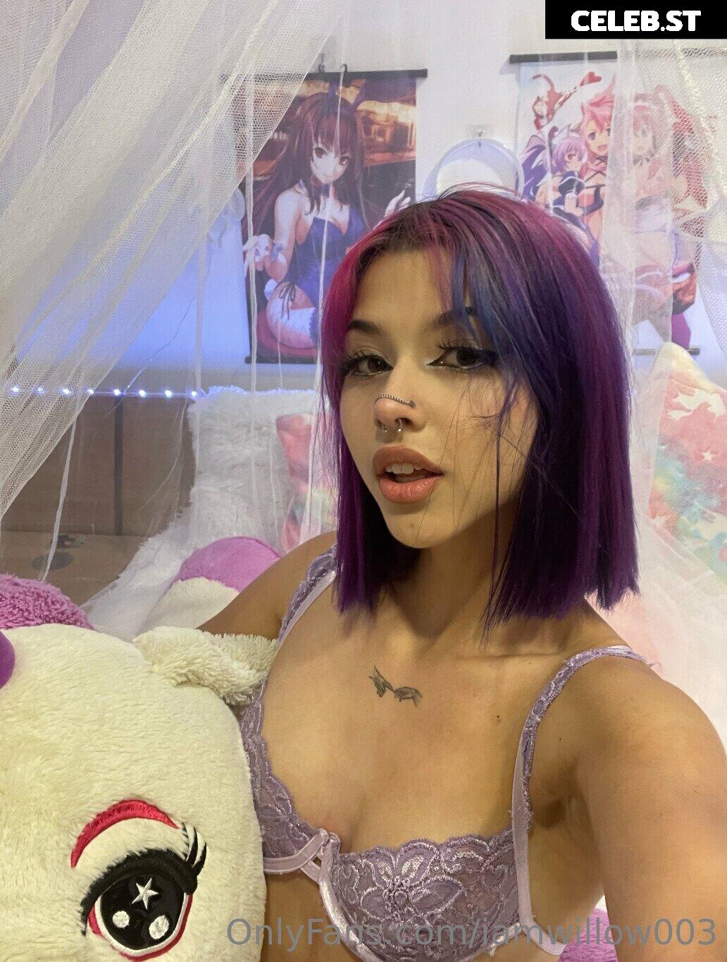 iamwillowstar / iamwillow003 / iamwillowstarr / willowstar___ / willo00w Image 11966375