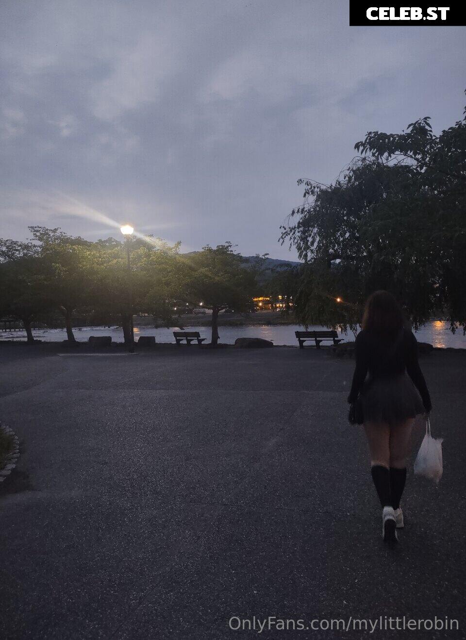 mylittlerobin | Robin Grey Image 11961853