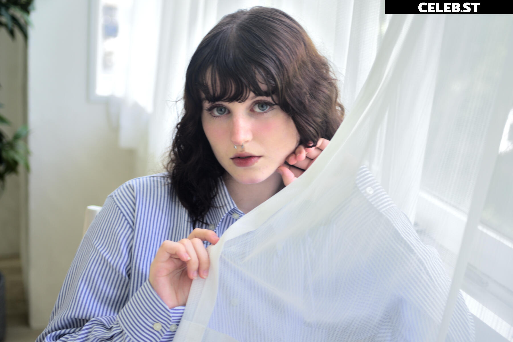 mylittlerobin | Robin Grey Image 11961747