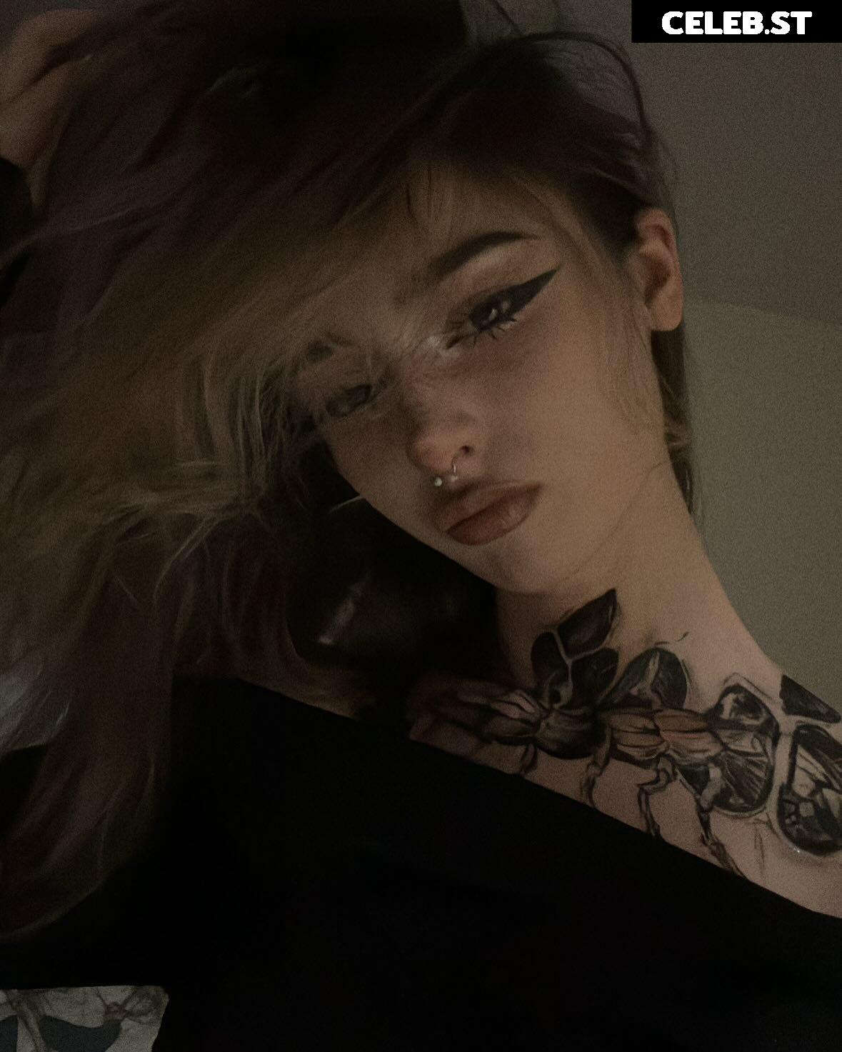 pavuk1_0 Image 11978126