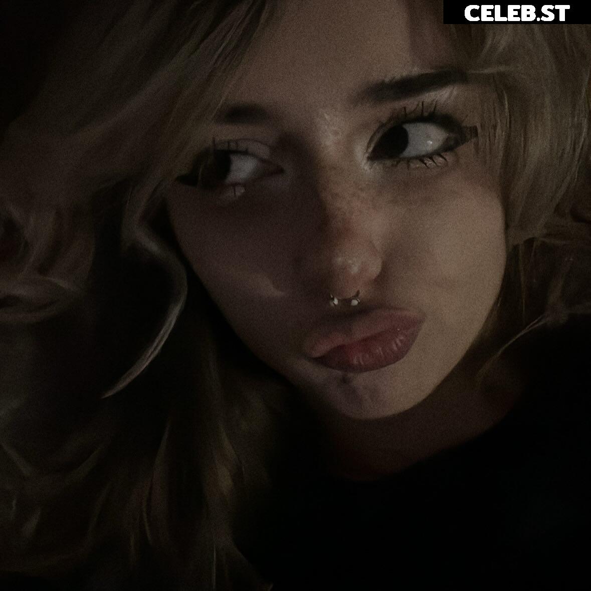 pavuk1_0 Image 11978114