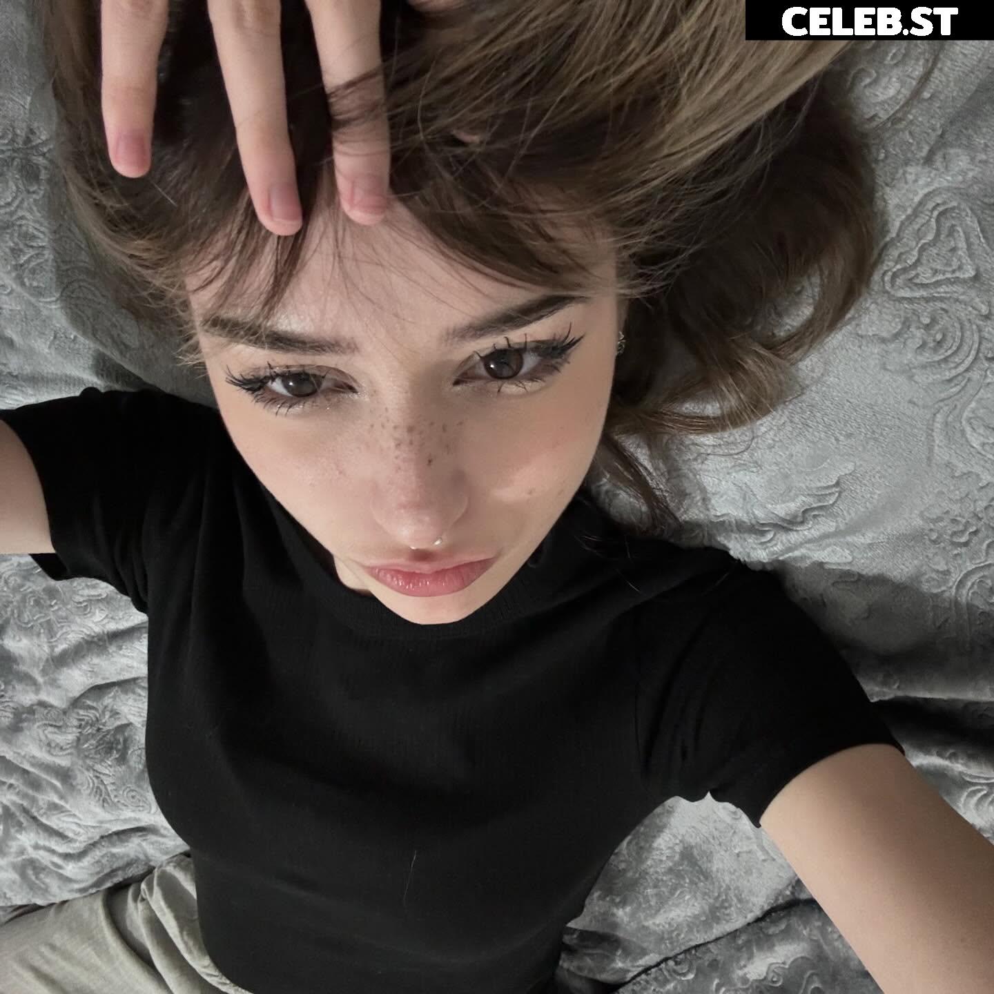 pavuk1_0 Image 11978161