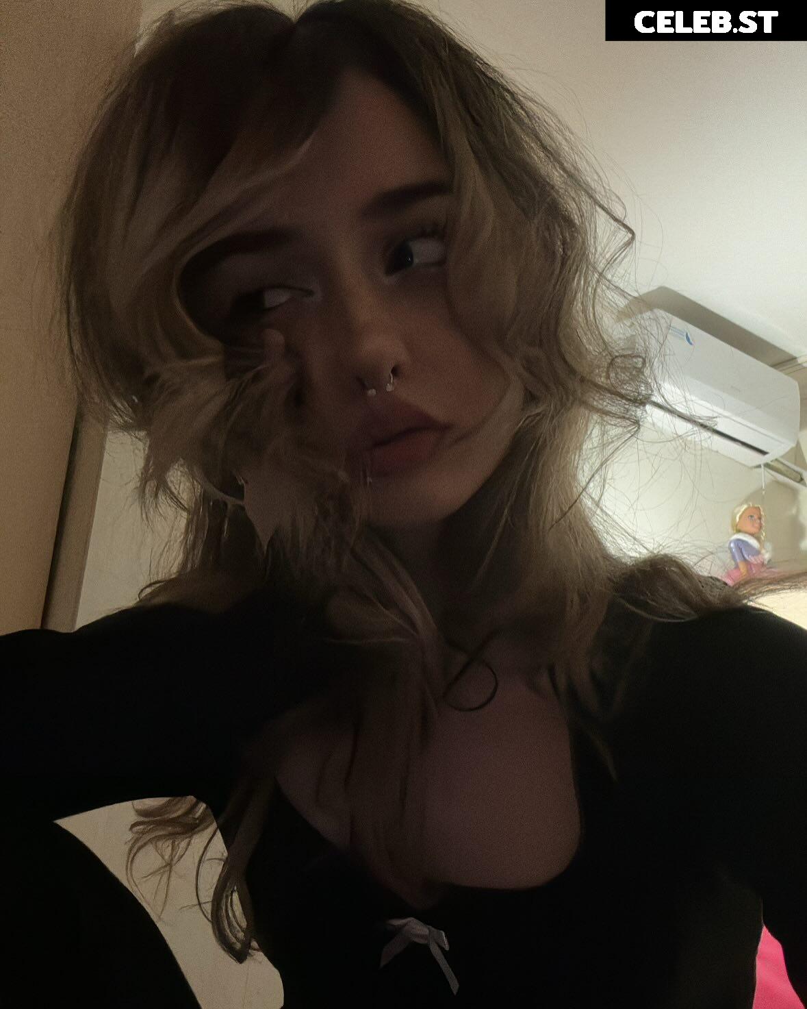 pavuk1_0 Image 11978144