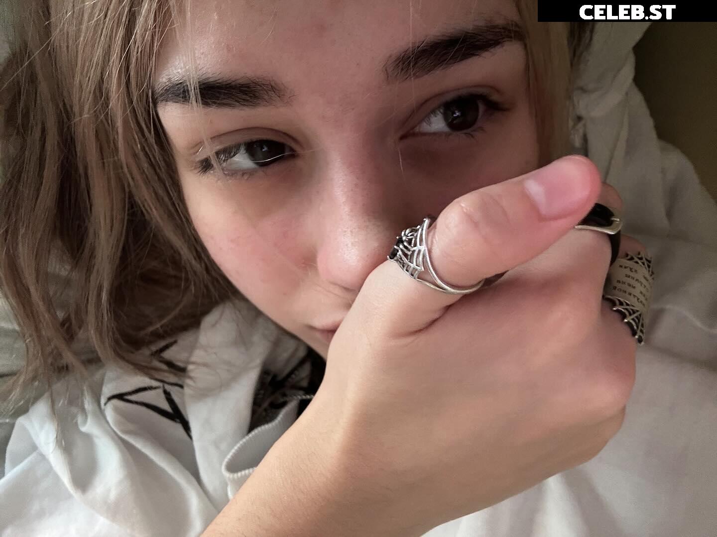 pavuk1_0 Image 11977726