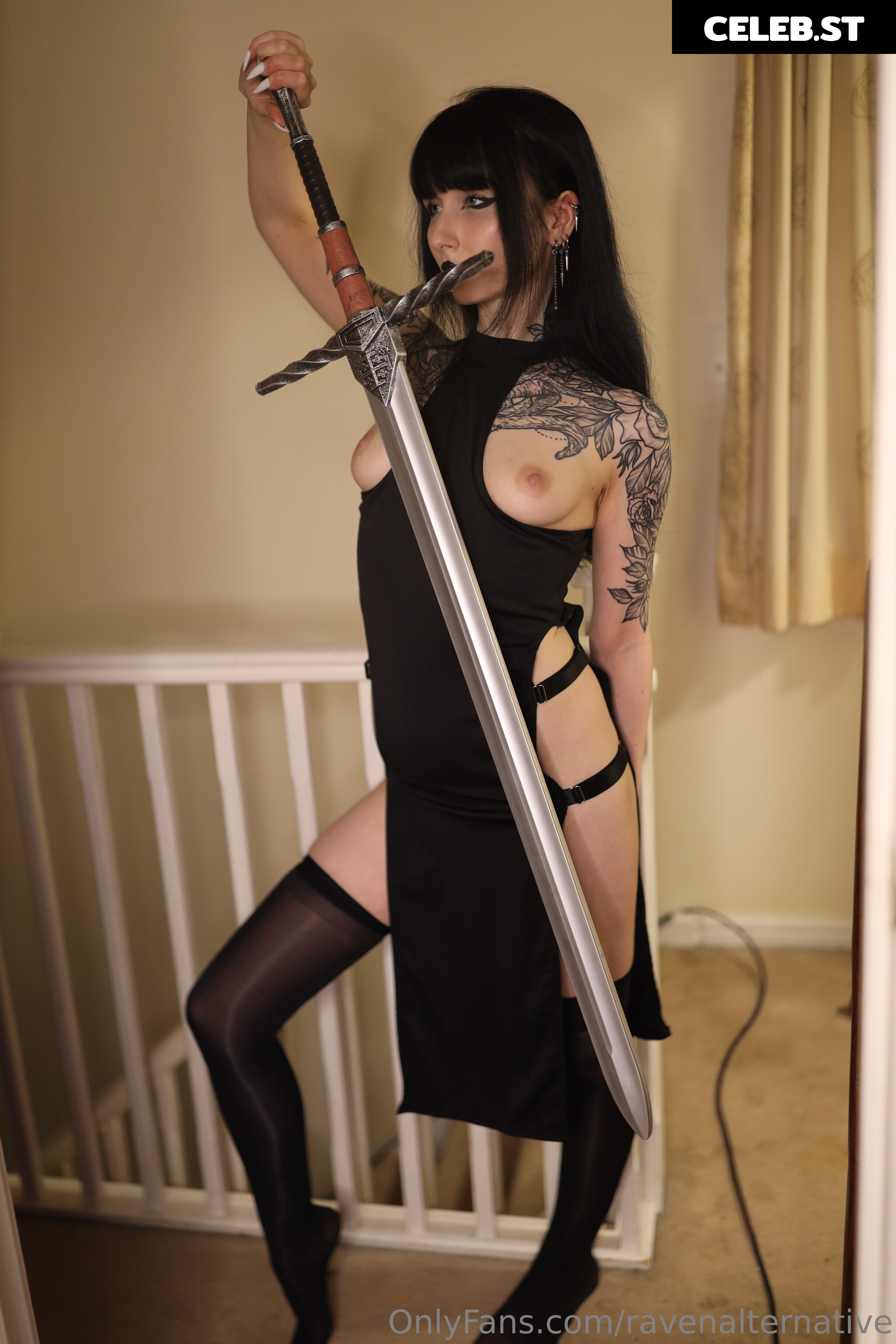 raven_alternative Image 11973185