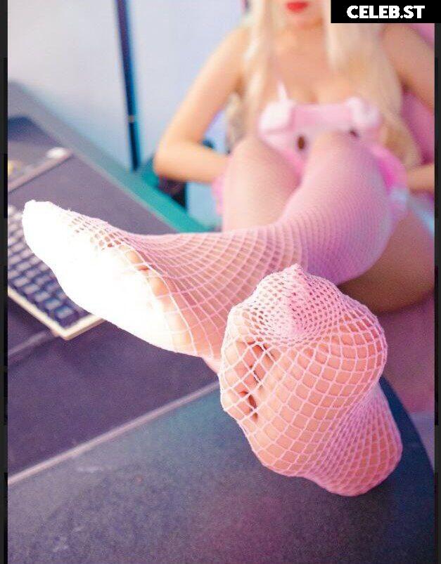 Didiwinx Image 11945625