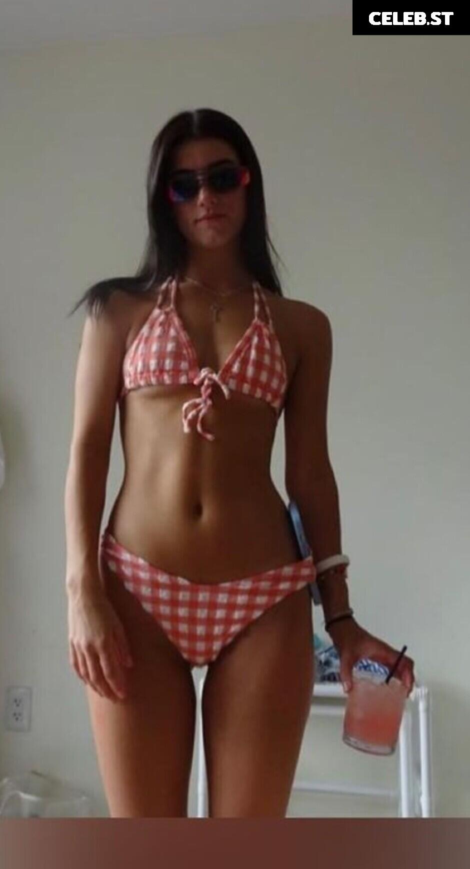 Charli D&#039;Amelio / Charli Damelio Image 11943352