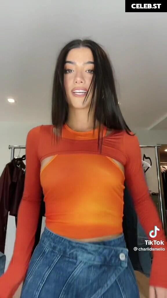 Charli D&#039;Amelio / Charli Damelio Image 11943350