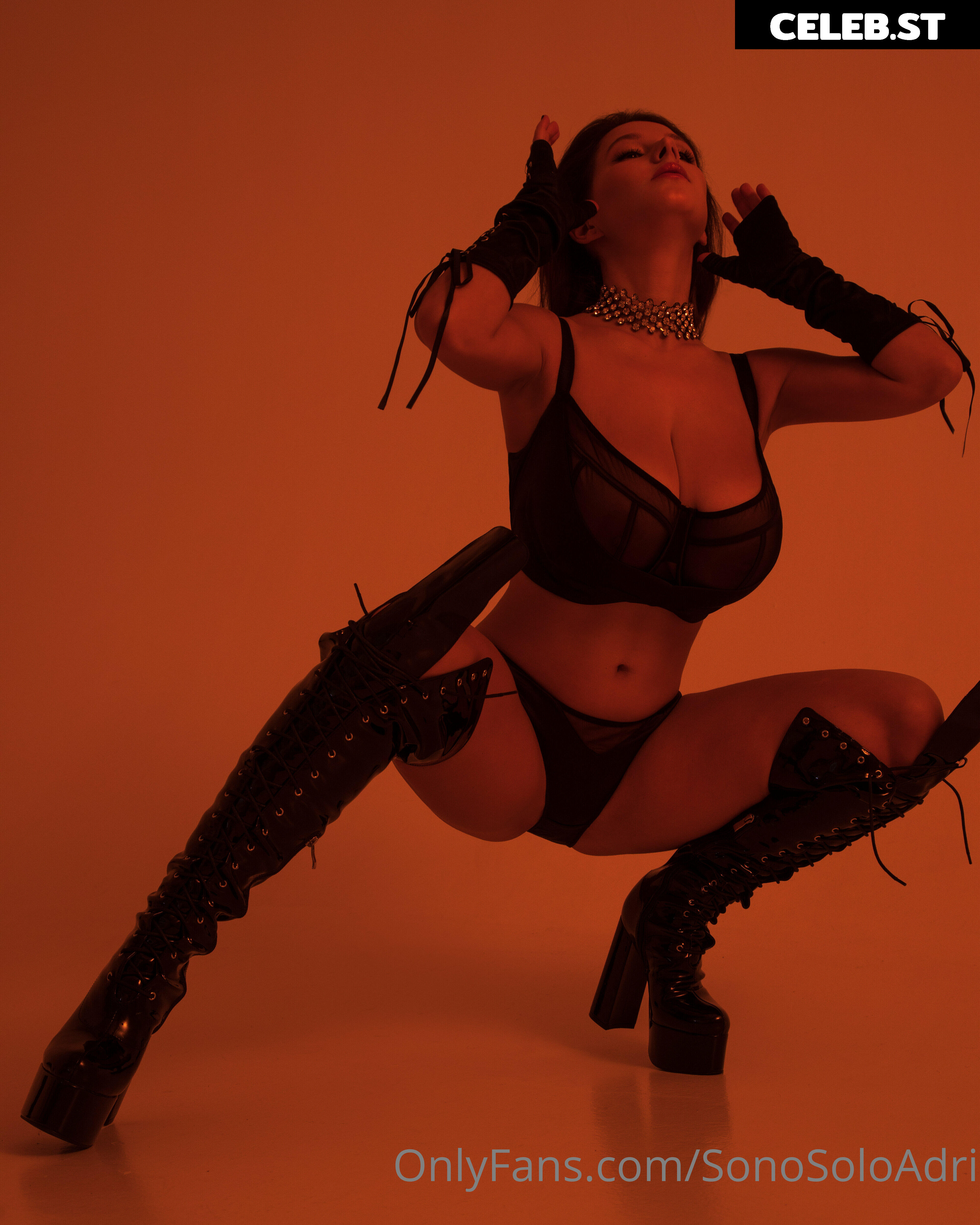 Adriana Fenice | Stacy Vandenburg Image 11919240