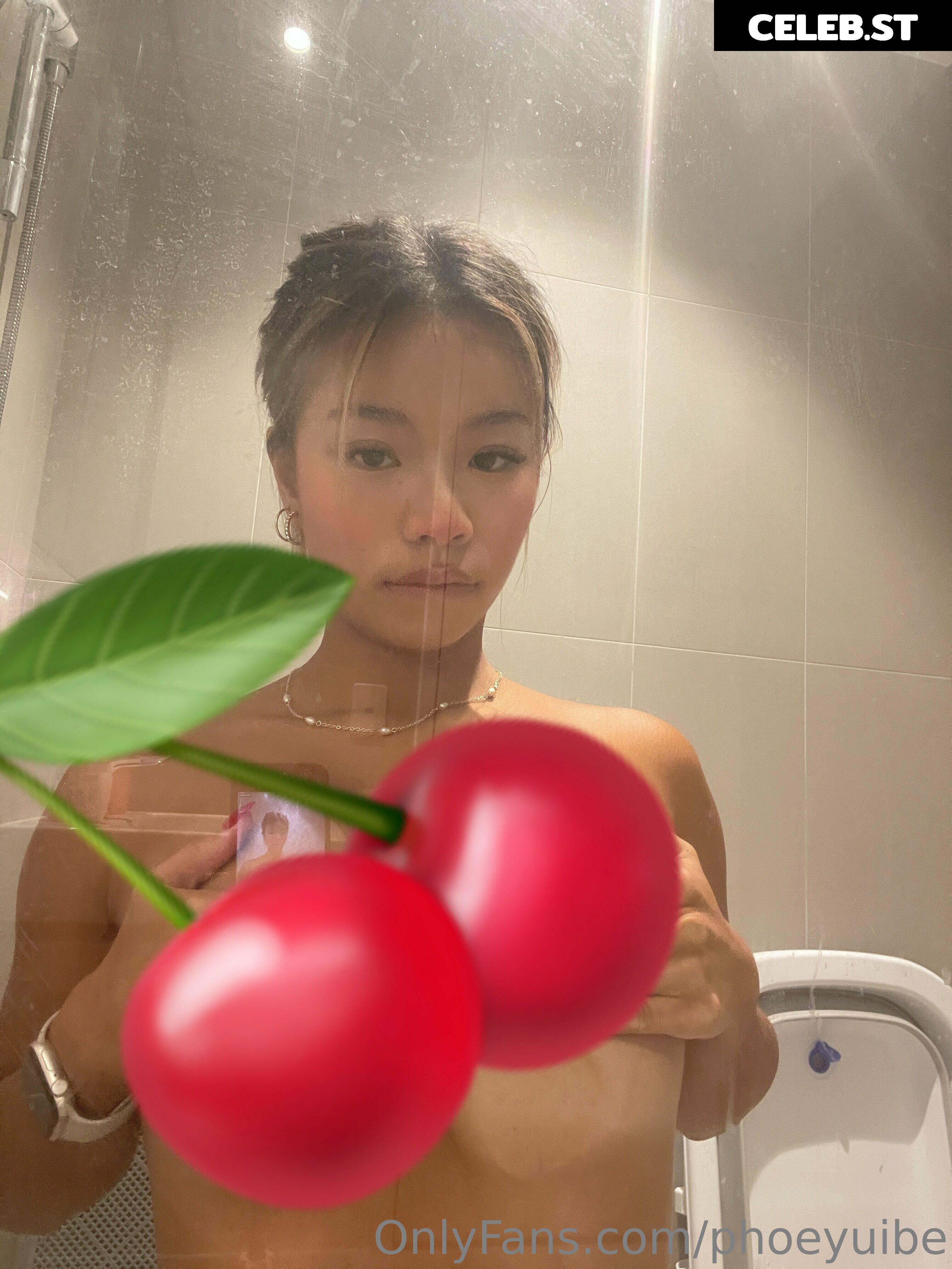 phoeyuibe Image 11928016