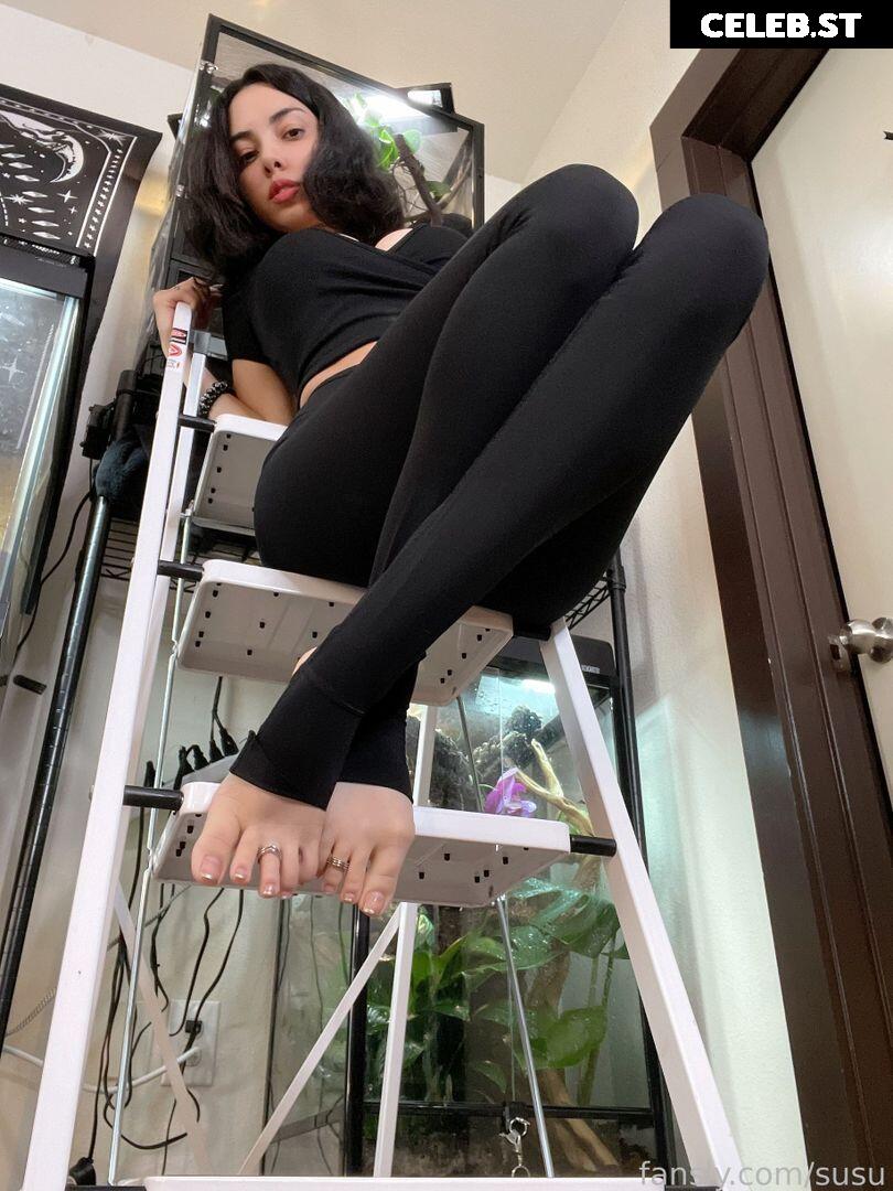 Swimsuit Succubus / susu_jpg Image 11924107