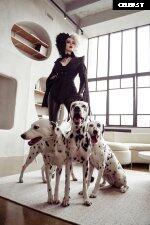 Xenon / Alinma Image 11924321