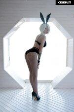 Xenon / Alinma Image 11924302