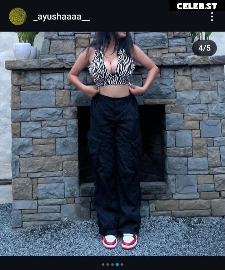 @_ayushaaaa__, Ayusha, busty Indian influencer Image 11927120