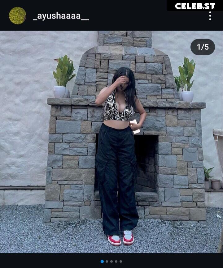 @_ayushaaaa__, Ayusha, busty Indian influencer Image 11927116